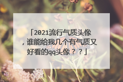 2021流行气质头像,谁能给我几个有气质又好看的qq头像??