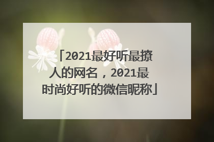 2021最好听最撩人的网名,2021最时尚好听的微信昵称