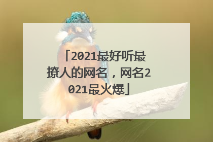 2021最好听最撩人的网名,网名2021最火爆