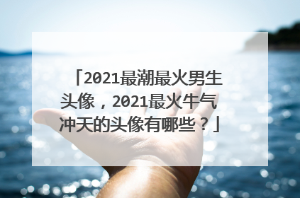 2021最潮最火男生头像,2021最火牛气冲天的头像有哪些?