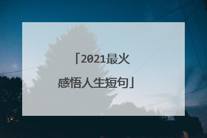 2021最火感悟人生短句