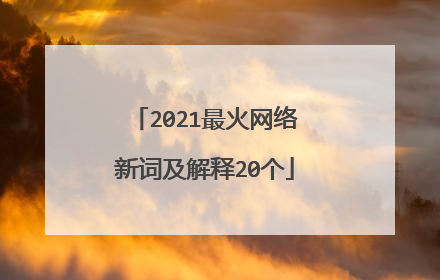 2021最火网络新词及解释20个