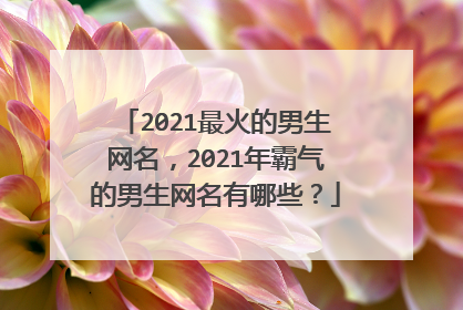 2021最火的男生网名,2021年霸气的男生网名有哪些?