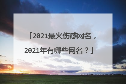 2021最火伤感网名,2021年有哪些网名?