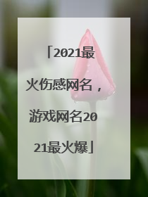 2021最火伤感网名,游戏网名2021最火爆