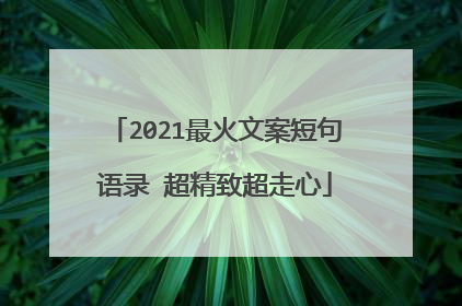 2021最火文案短句语录 超精致超走心