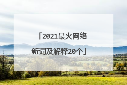 2021最火网络新词及解释20个
