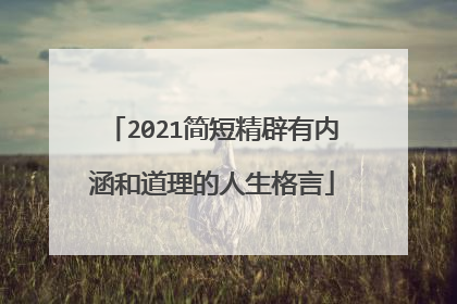 2021简短精辟有内涵和道理的人生格言