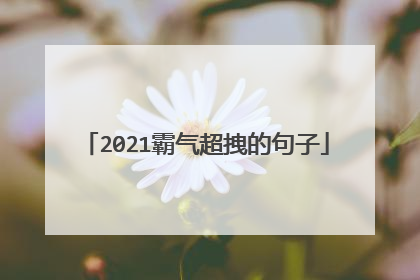 2021霸气超拽的句子