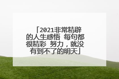 2021非常精辟的人生感悟 每句都很精彩 努力,就没有到不了的明天