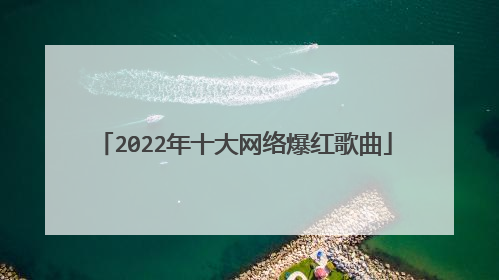 2022年十大网络爆红歌曲