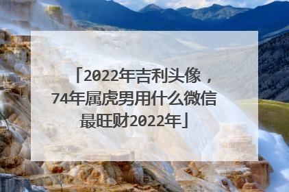 2022年吉利头像,74年属虎男用什么微信最旺财2022年