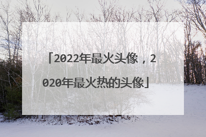 2022年最火头像,2020年最火热的头像