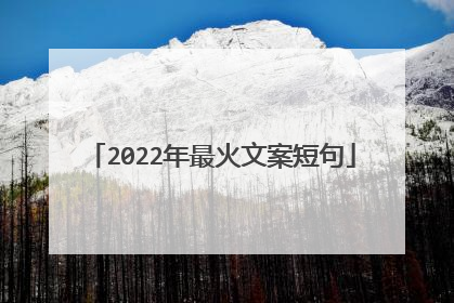 2022年最火文案短句