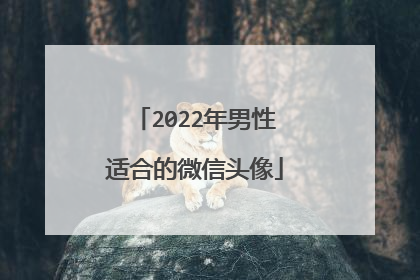 2022年男性适合的微信头像