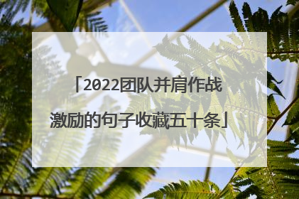 2022团队并肩作战激励的句子收藏五十条
