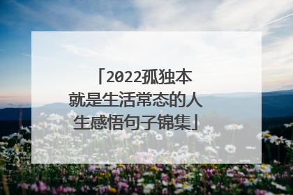 2022孤独本就是生活常态的人生感悟句子锦集