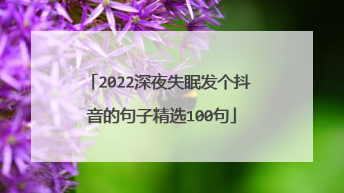 2022深夜失眠发个抖音的句子精选100句