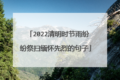 2022清明时节雨纷纷祭扫缅怀先烈的句子