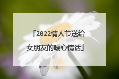 2022情人节送给女朋友的暖心情话