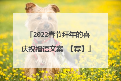 2022春节拜年的喜庆祝福语文案 【荐】
