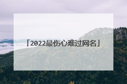 2022最伤心难过网名