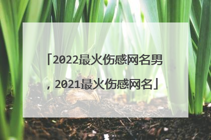 2022最火伤感网名男,2021最火伤感网名