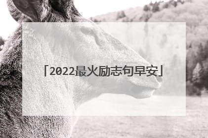 2022最火励志句早安