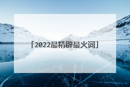 2022最精辟最火词