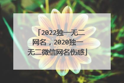 2022独一无二网名,2020独一无二微信网名伤感