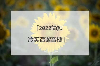 2022简短冷笑话谐音梗