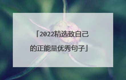 2022精选致自己的正能量优秀句子