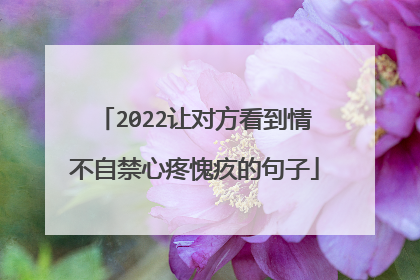 2022让对方看到情不自禁心疼愧疚的句子