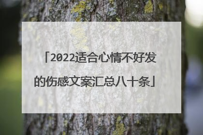2022适合心情不好发的伤感文案汇总八十条