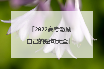 2022高考激励自己的短句大全