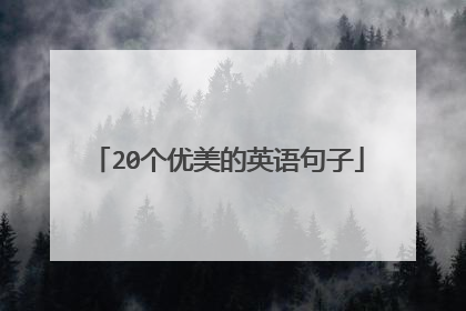 20个优美的英语句子