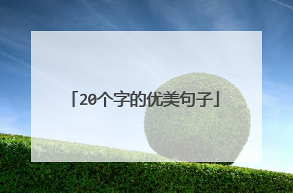 20个字的优美句子