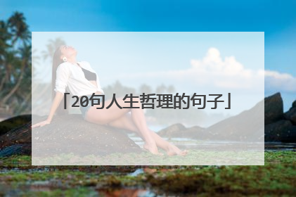 20句人生哲理的句子