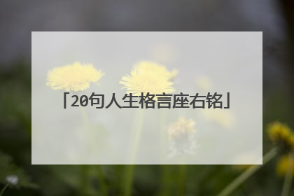 20句人生格言座右铭