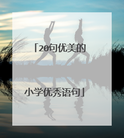 20句优美的小学优秀语句