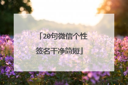 20句微信个性签名干净简短