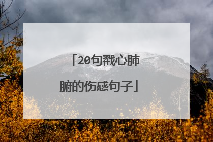 20句戳心肺腑的伤感句子