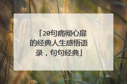 20句痛彻心扉的经典人生感悟语录,句句经典