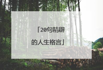 20句精辟的人生格言