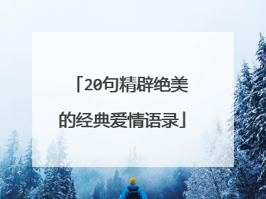 20句精辟绝美的经典爱情语录