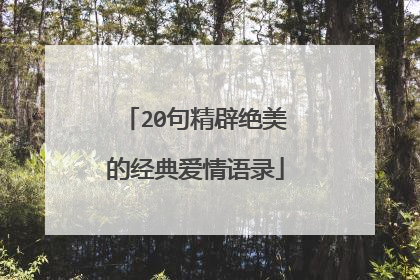 20句精辟绝美的经典爱情语录