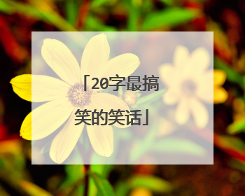 20字最搞笑的笑话