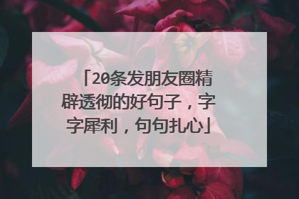 20条发朋友圈精辟透彻的好句子,字字犀利,句句扎心