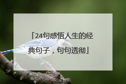 24句感悟人生的经典句子,句句透彻