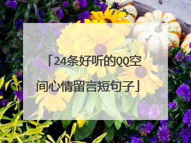 24条好听的QQ空间心情留言短句子